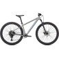 Bicicleta Specialized Rockhopper Expert 29 Gris