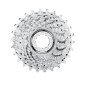 Cassette Campagnolo Veloce 13-29 10V